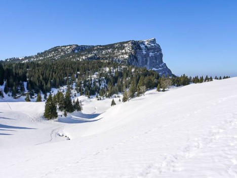 Vue sur le Sommet du Pinet ou le Truc