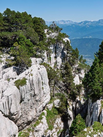 Profonde entaille dans le plateau calcaire
