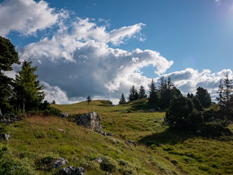 Sur la sente du sommet des Rochers de Belles Ombres, août 2021