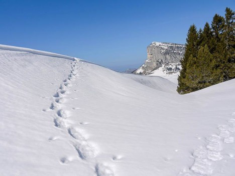 Retour face à la Tête de Lion, antécime Sud du Mont Granier 