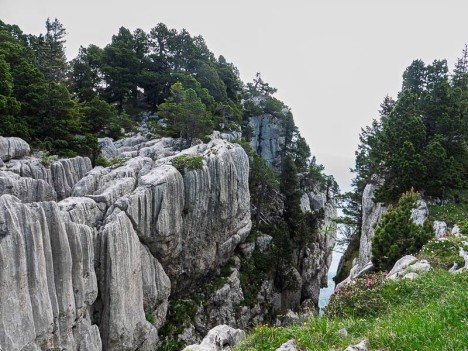 Crevasse d'un lapiaz géant des Rochers de Belles Ombres