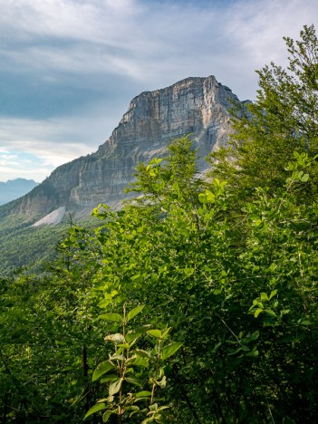 Face Nord du Mont Granier, juin 2022