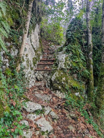 Échelons sur le sentier de l'Échaillon