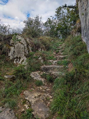 Marches taillées sur le sentier de l'Échaillon