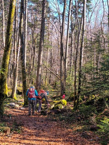 Sentier du Bois de la Ravoire