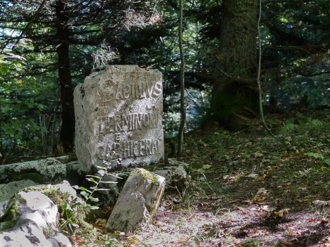 La Borne du Sapin des Termes