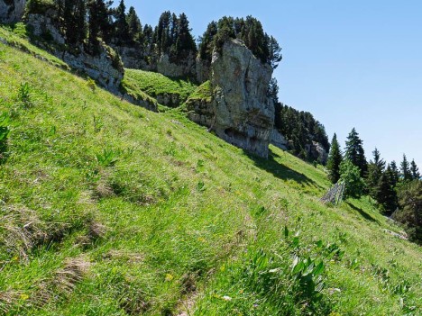 Chamechaude, le cirque rocheux et le paravalanche en contrebas