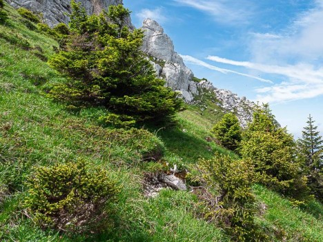 Sous le ressaut Nord de Chamechaude