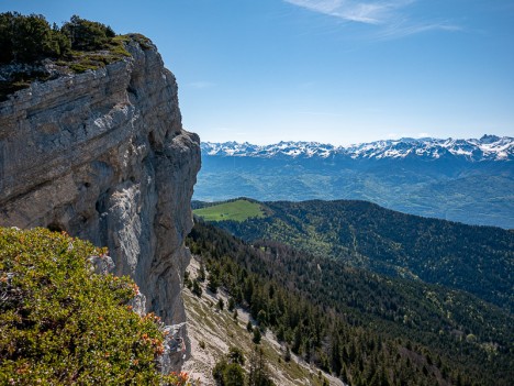 Pilier des falaises de Chamechaude, mai 2021