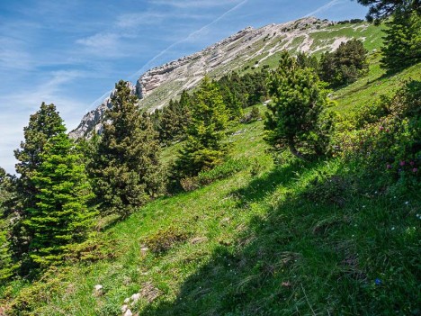 Le plateau Sud de Chamechaude