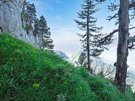 Sortie du Pas de l'Arche