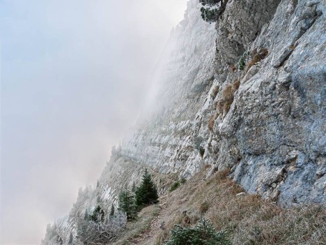 Par le sangle du Jardin de Chamechaude