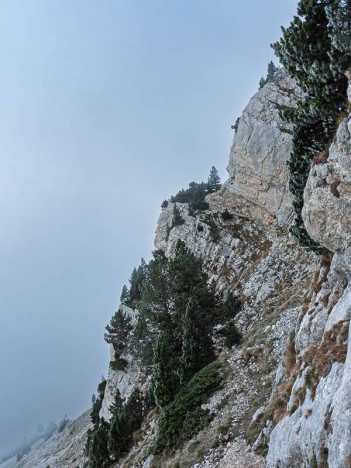 Vers le sangle du Jardin de Chamechaude