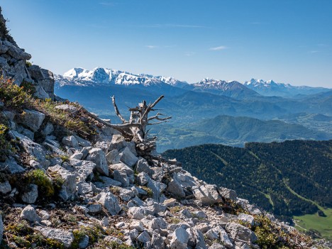 Paysage du Taillefer, mai 2021