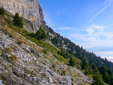 Pentes sous la paroi de Chamechaude