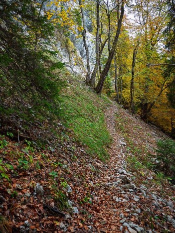 Sous l'arête de Bérard