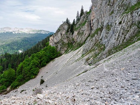 La Casse de Pré Batard