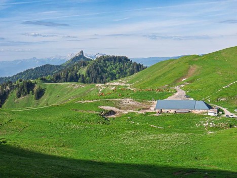 Les Chalets de Charmant Som