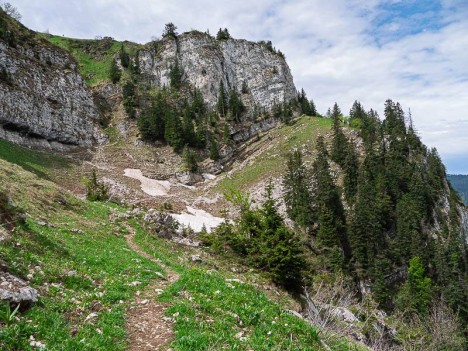 Sangle du Charmant Som