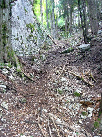 Descente de la combe raide de la Cochette
