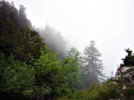 Au-dessus du couloir de la Cochette