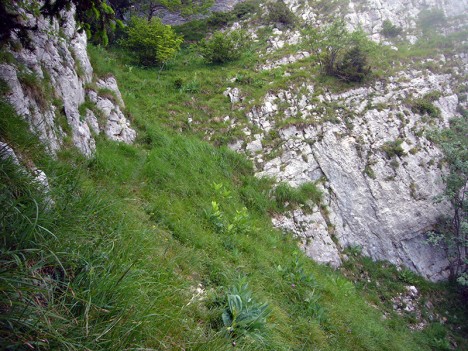 Couloir pierreux de la Cochette