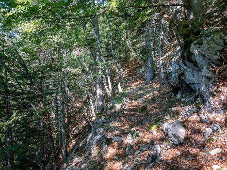 Ancienne piste de Lachat, août 2022