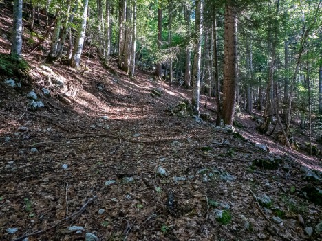 Sentier en direction du pied de la Combe Sud de la Cochette, août 2022