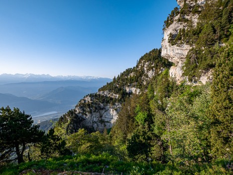 Sur le chemin du Col de l'Alpe, juin 2020
