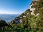 Sur le chemin du Col de l'Alpe, juin 2020