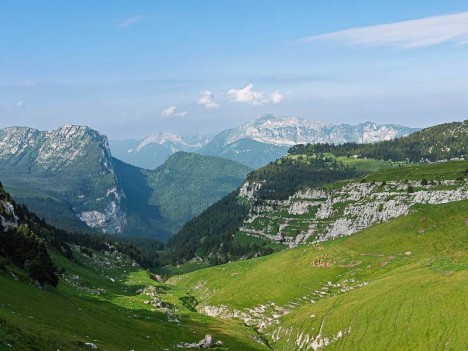 Dans le Vallon de Pratcel