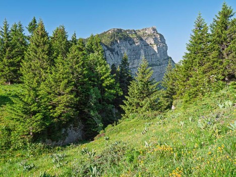 Sommet du Pinet, falaise Nord