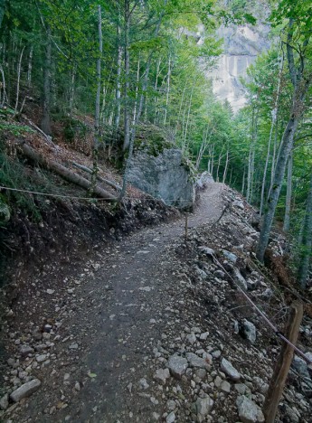 Chemin de l'alpage du Col de l'Alpette