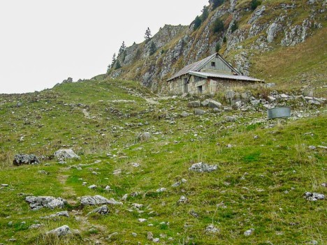 Le Habert de Bovinant