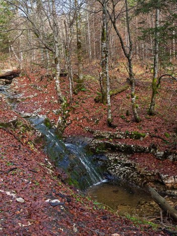 Le ruisseau de la Petite Vache