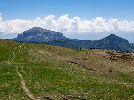 Chamechaude et la Pinéa