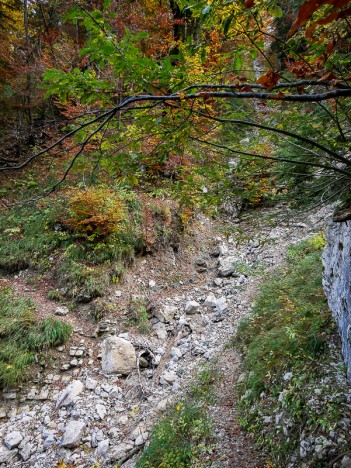 Affluent du Ruisseau du Bruyant