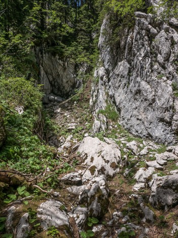 Curieuse faille au bord d'un vieux chemin en haut de la Combe des Éparres…