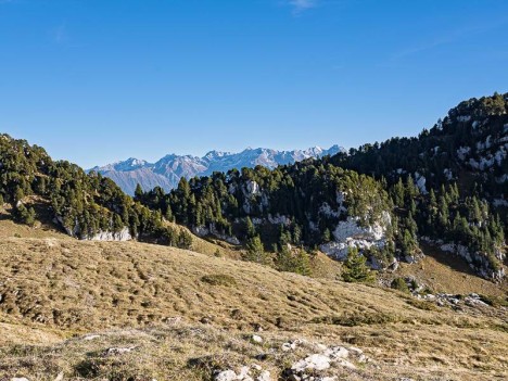 Descendant de la Croix de l'Alpe
