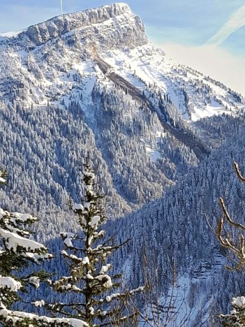 Important glissement de terrain sur le versant du Trou du Glaz à la Dent de Crolles – Image © Mairie de Saint-Pierre-de-Chartreuse
