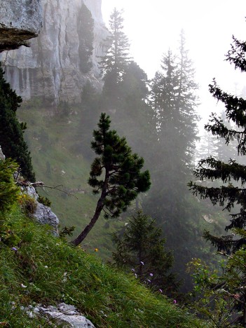 Par le Sangle Ouest de la Dent de Crolles