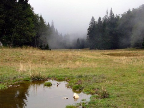 Brouillard sur la Prairie d'Arpison