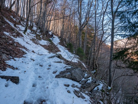 Neige sur le chemin du Col des Fontanettes (ou Passage de la Cochette)