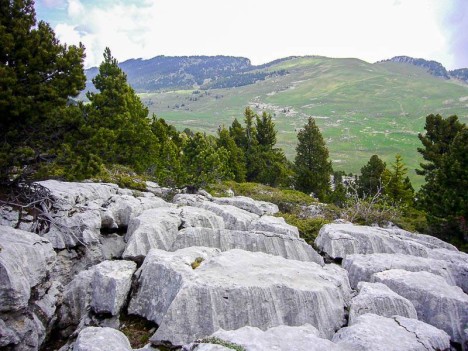 Lapiaz sur la crête des Rochers de Fouda Blanc
