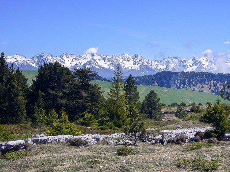 Sur le plateau sous les rochers du Fouda Blanc