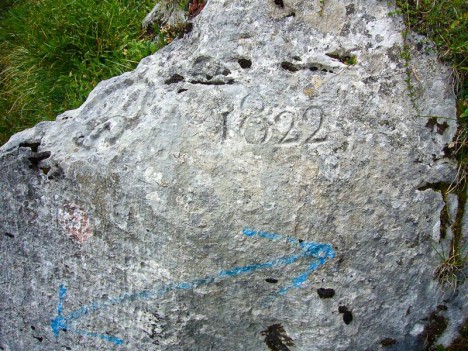 Fleur de lys du Passage du Fourneau