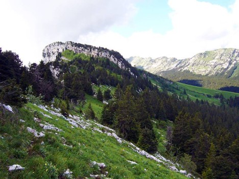 Le Fourneau