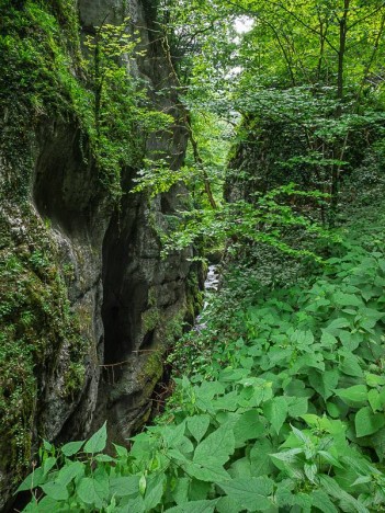 Belvédère des Gorges