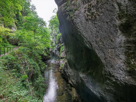 L'aval du Guiers Vif et le sentier du belvédère