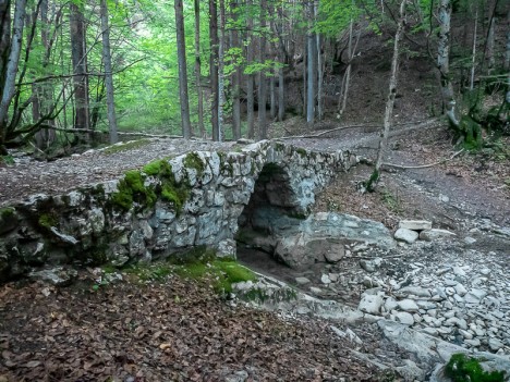 Le Pont sur le Cozon, août 2022